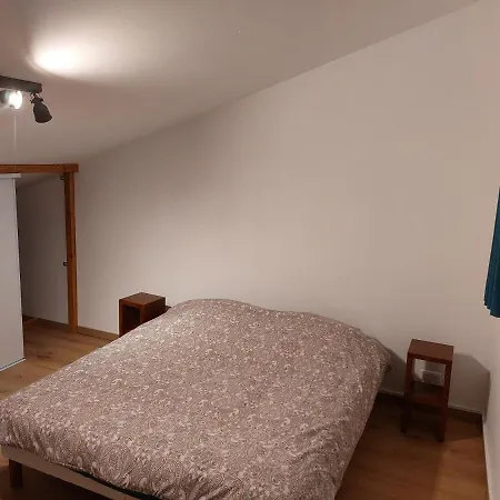 Bel Spacieux A Apartment Nancy